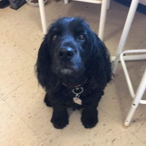 Meet your Posher, Marc